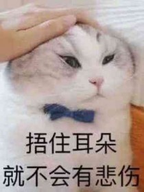 恶毒炮灰向导只想退婚讲什么