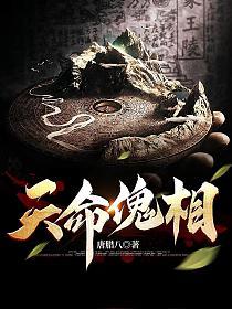 天命傀相漫画