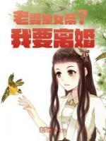 男主叫陆凡