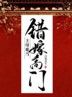 纪初禾萧晏安免费全集