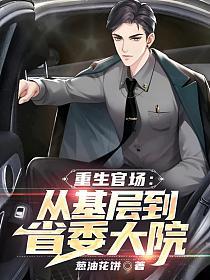 重生官场从基层到省委大院 在线阅读