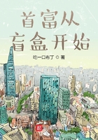 首富从盲盒开始免费完整版