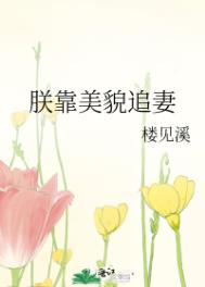 朕凭美貌征服天下