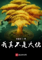 我真不是大佬 快餐店TXT