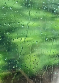 雨季全文