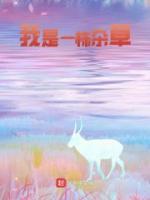 周叶鹿小元动画免费观看