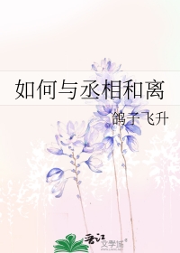 如何与丞相和离在线阅读