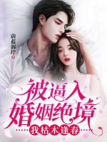 主角叫秦书