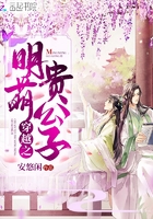 穿越之明萌贵公子起点