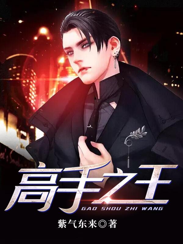 高手之王TXT