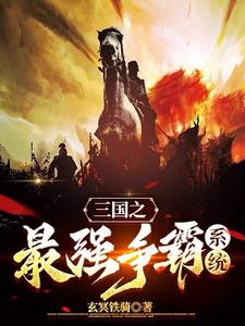 三国之美女如此多娇作者玄冥铁骑