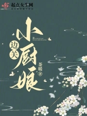 边关小厨娘陆启言身份