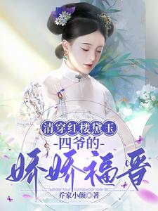 清穿黛玉之四爷在上