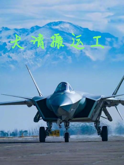 大清搬运工作者赵破奴