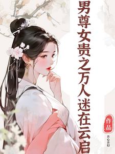 男尊女贵之万人迷在云启txt