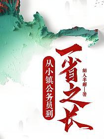 官场从小镇公务员到一省之长(胡人半解)