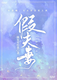 雪豹坚强岁月周卫国知道假夫妻