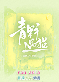青野搭配