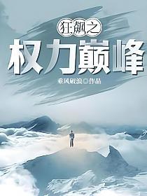 完本官场巅峰权力