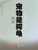 我的宠物是鳄龟 蓝洞