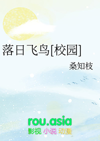 落日飞鸟[校园