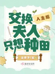 夫人换人做
