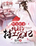 王悍苏祈免费全集