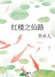 红楼之仙路txt
