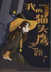 我的猫头鹰迷路了剧情解析
