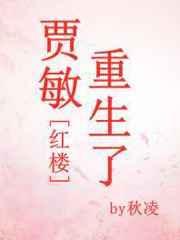 主角是贾敏的