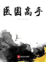 医国高手八零电子书