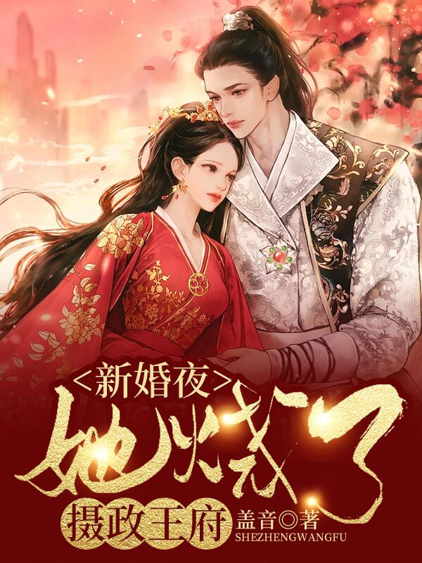她烧了摄政王府盖音