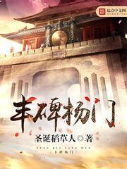 丰碑杨门TXT全集