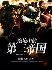 绝境中的第三帝国免费阅读