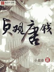 唐朝贞观年间的钱