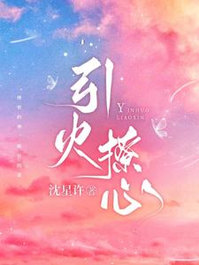 引火撩心夏时念