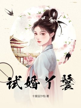 试婚丫鬟短剧免费观看完整版