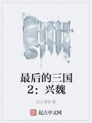 最后的三国2兴魏147