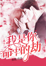 舐犊情深读音