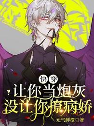 没让你撩病娇 作者元气鲜橙txt