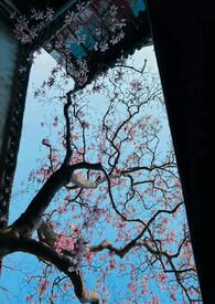 公主只想睡遍后宫(男生子)