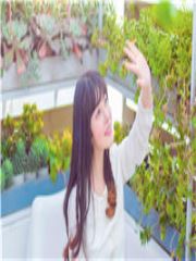 许庭琛宋嘉意免费