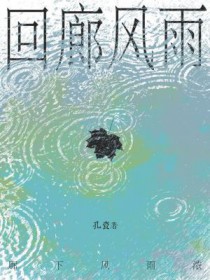回廊风雨by孔瓷双洁吗