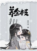 养金枝玉叶用什么土