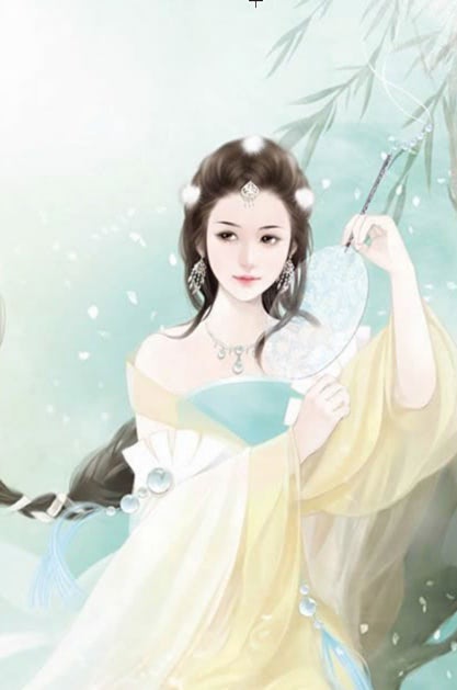 镇国元帅叶天吴婉婷