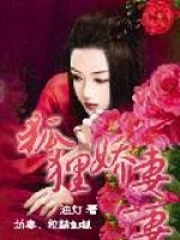 狐狸娇妻全本免费阅读